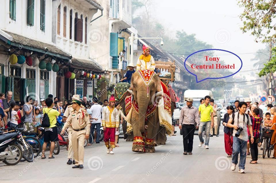 Tony Central Hostel Luang Prabang Dış mekan fotoğraf